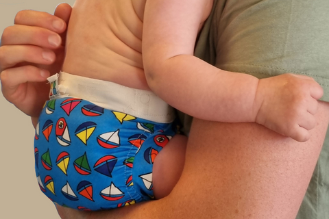 Two part nappy with reusable pant and biodegradable nappy pad