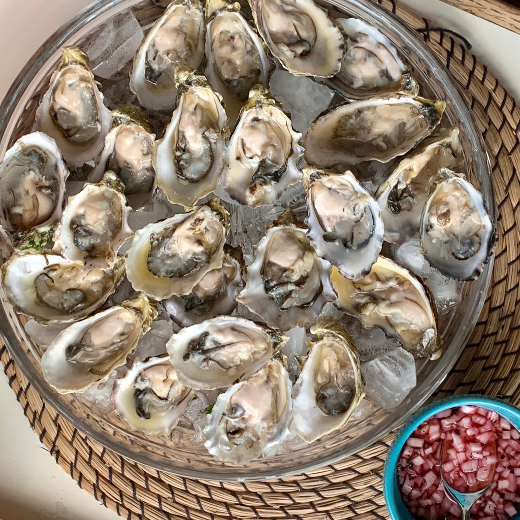 Election Party Oysters 2016