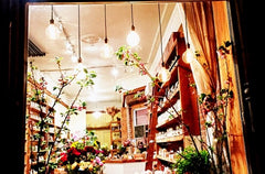 The Meadow NYC