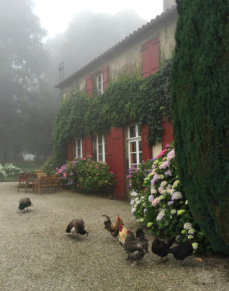 South wing of chateau and its chickens near Revel France