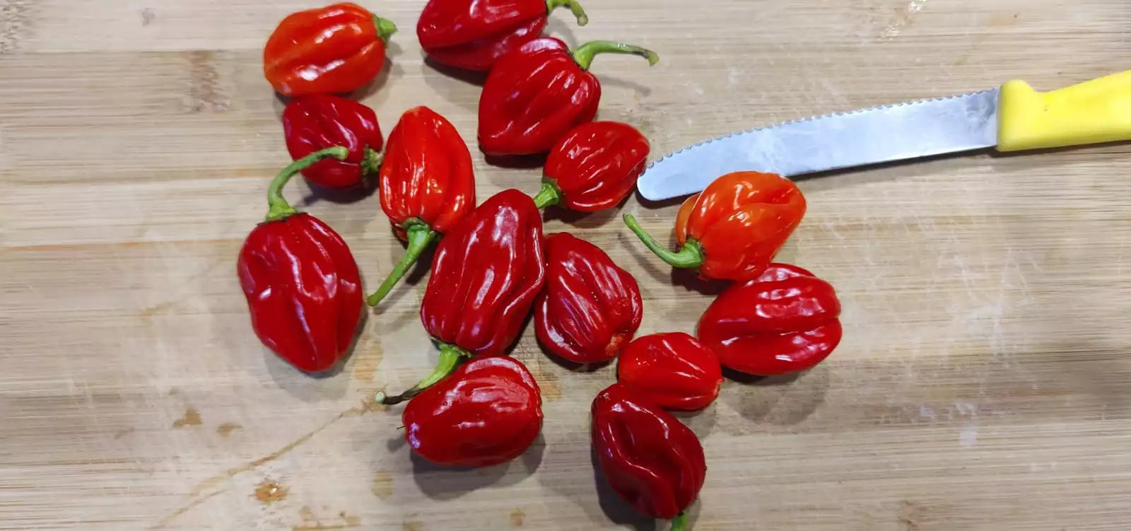 Types-of-Ghost-Peppers-min