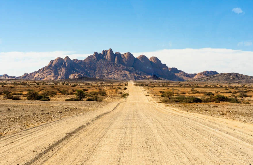 Best-Safari-Etosha
