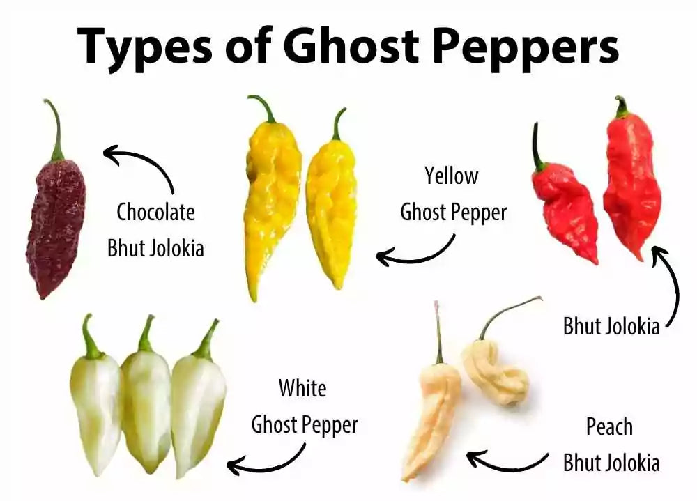 Types-of-Ghost-Peppers-min