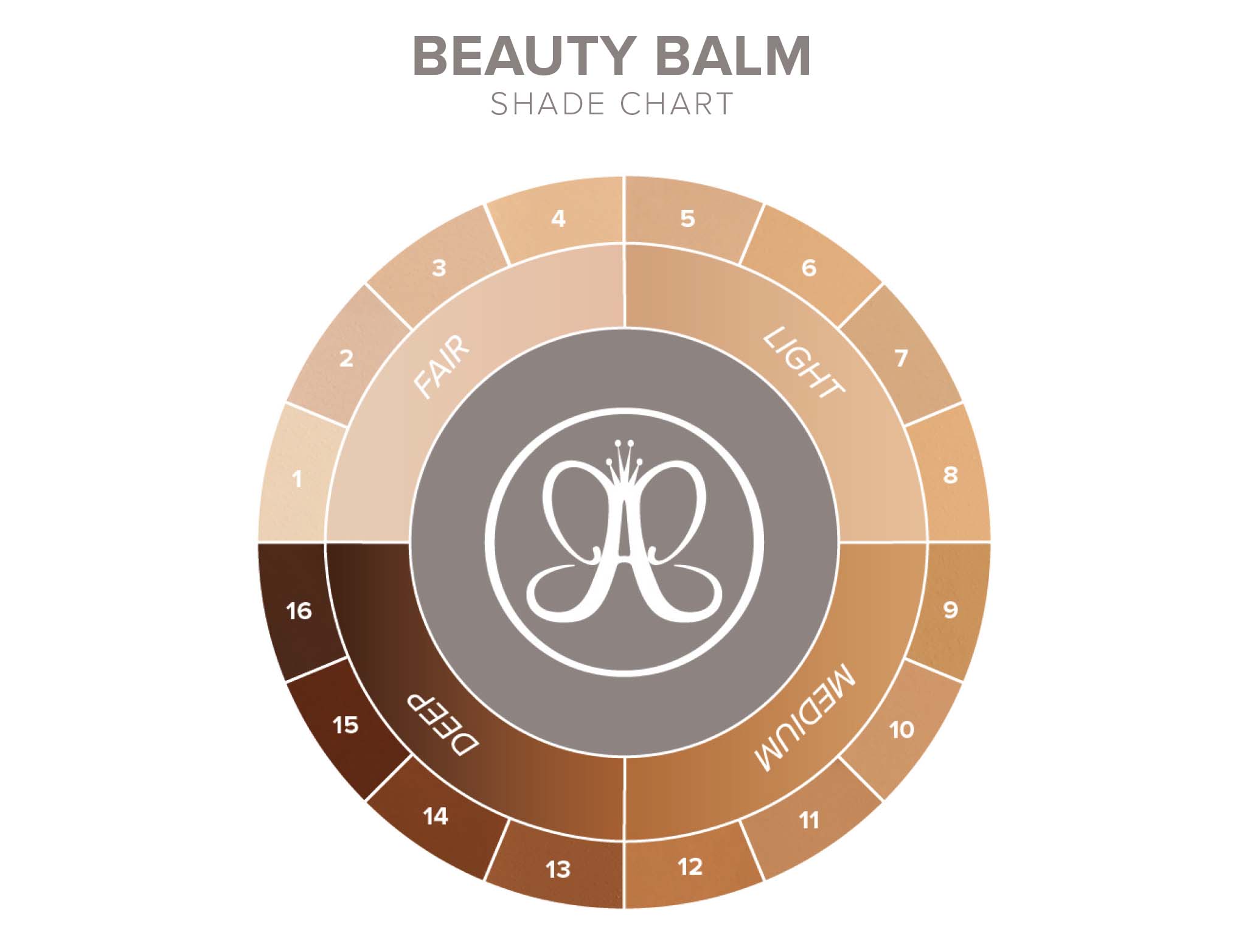 Beauty Balm - Shade Finder Color Wheel