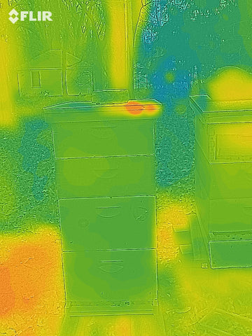 Thermal image of a dead hive