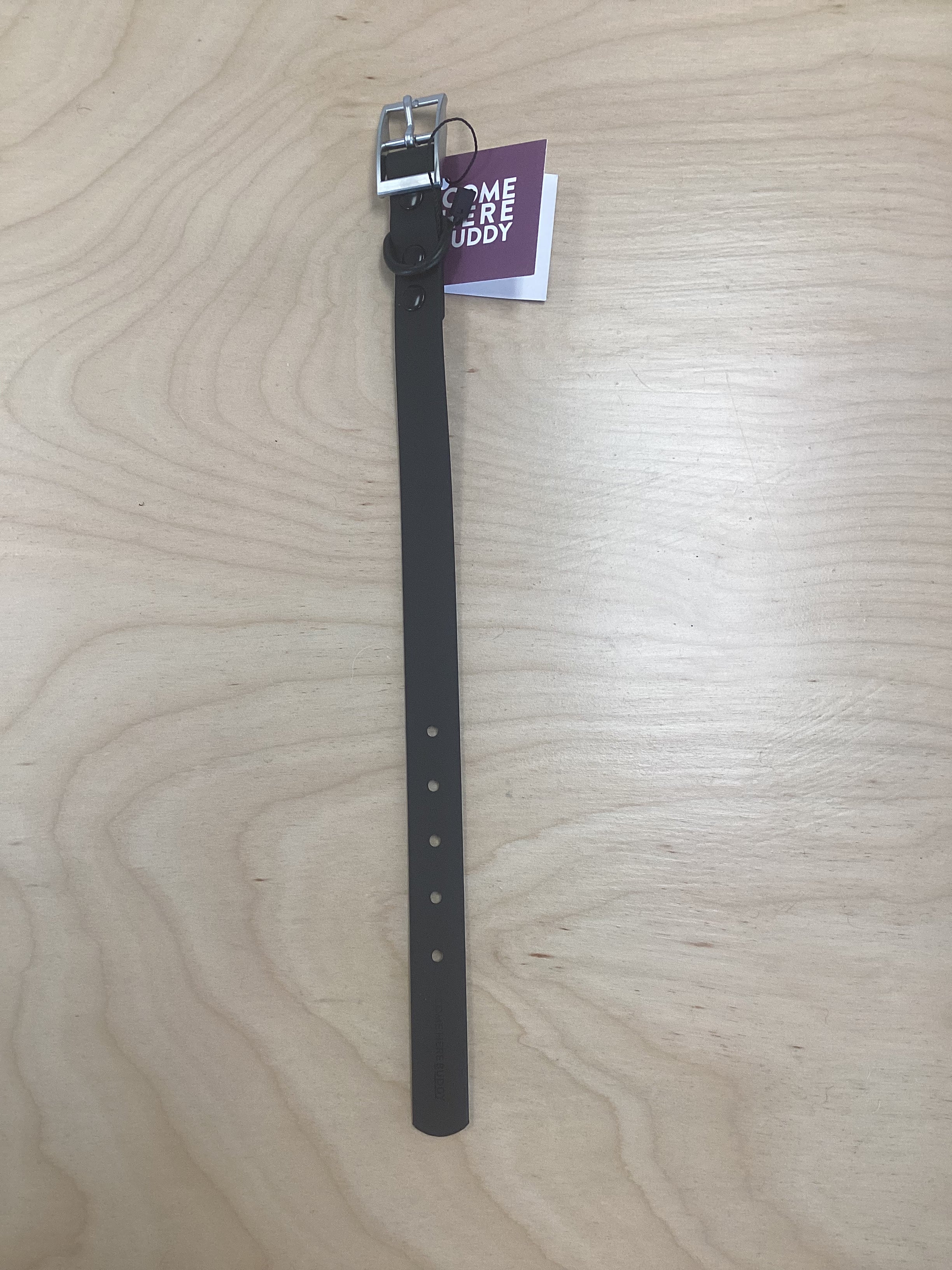 Come here buddy collar