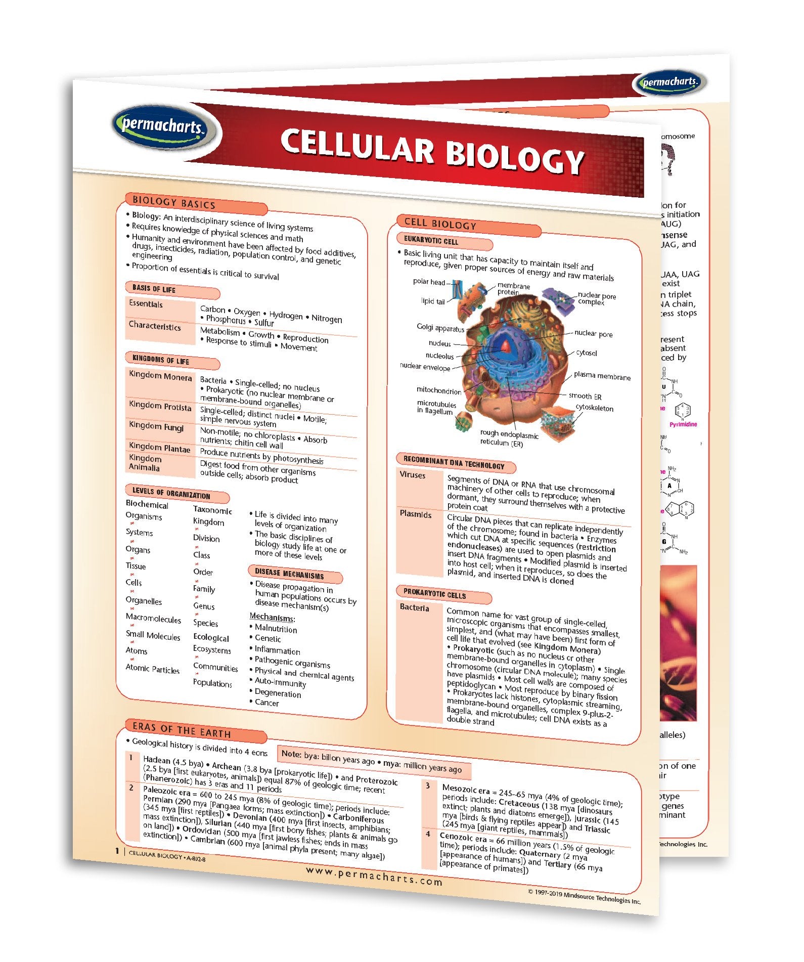 cellular biology literature review