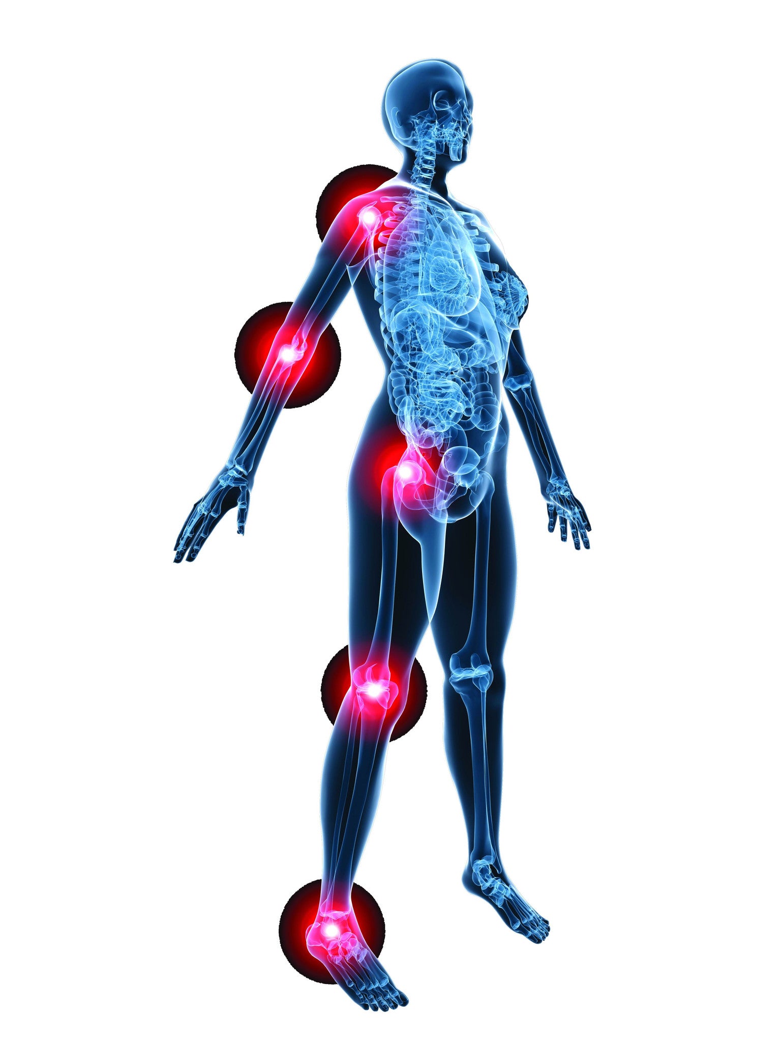 physiotherapy-charts-and-quick-reference-guide-series