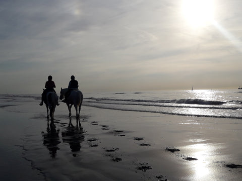 people riding horses on the beach