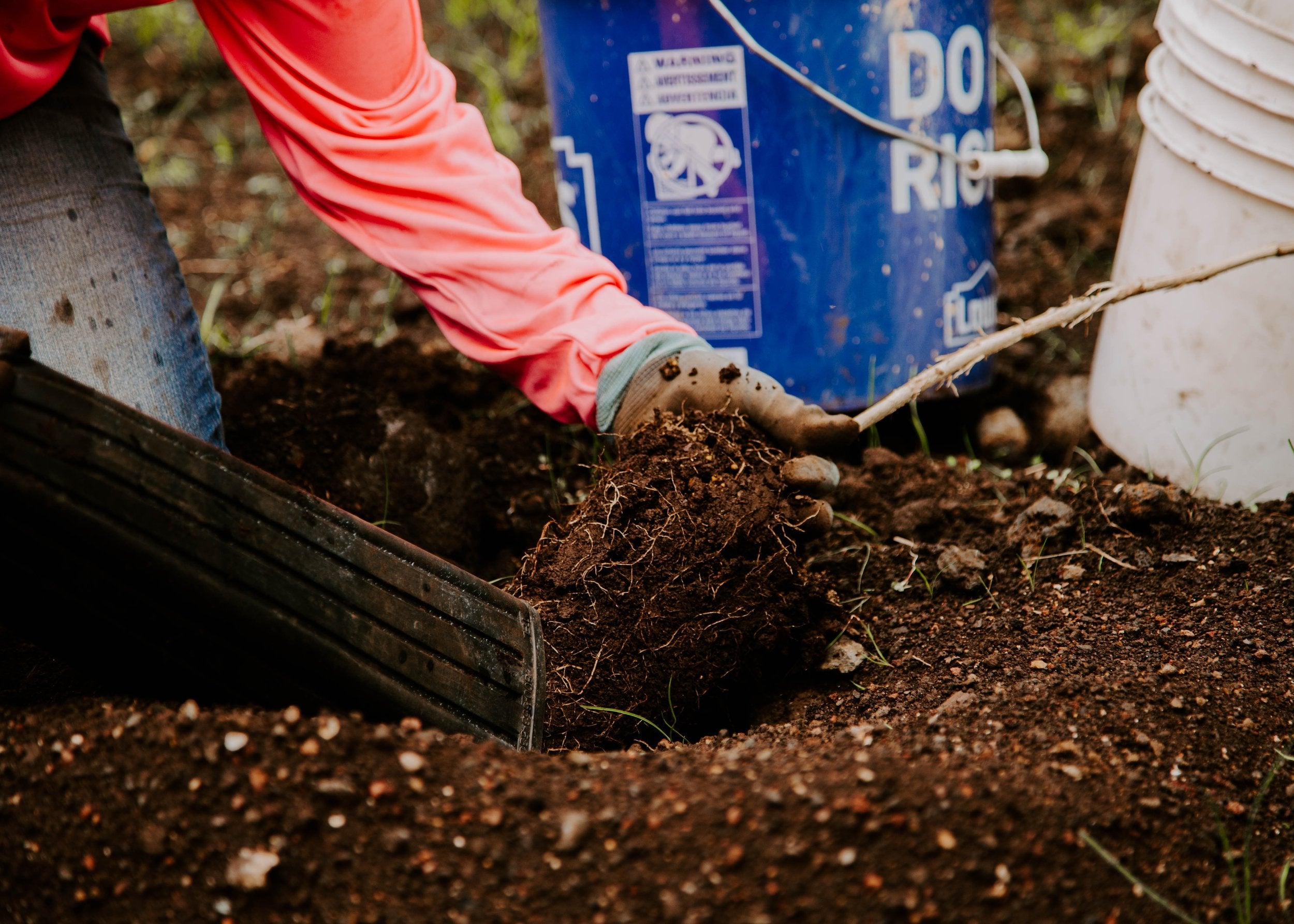 Agroforestry: It's About Soil