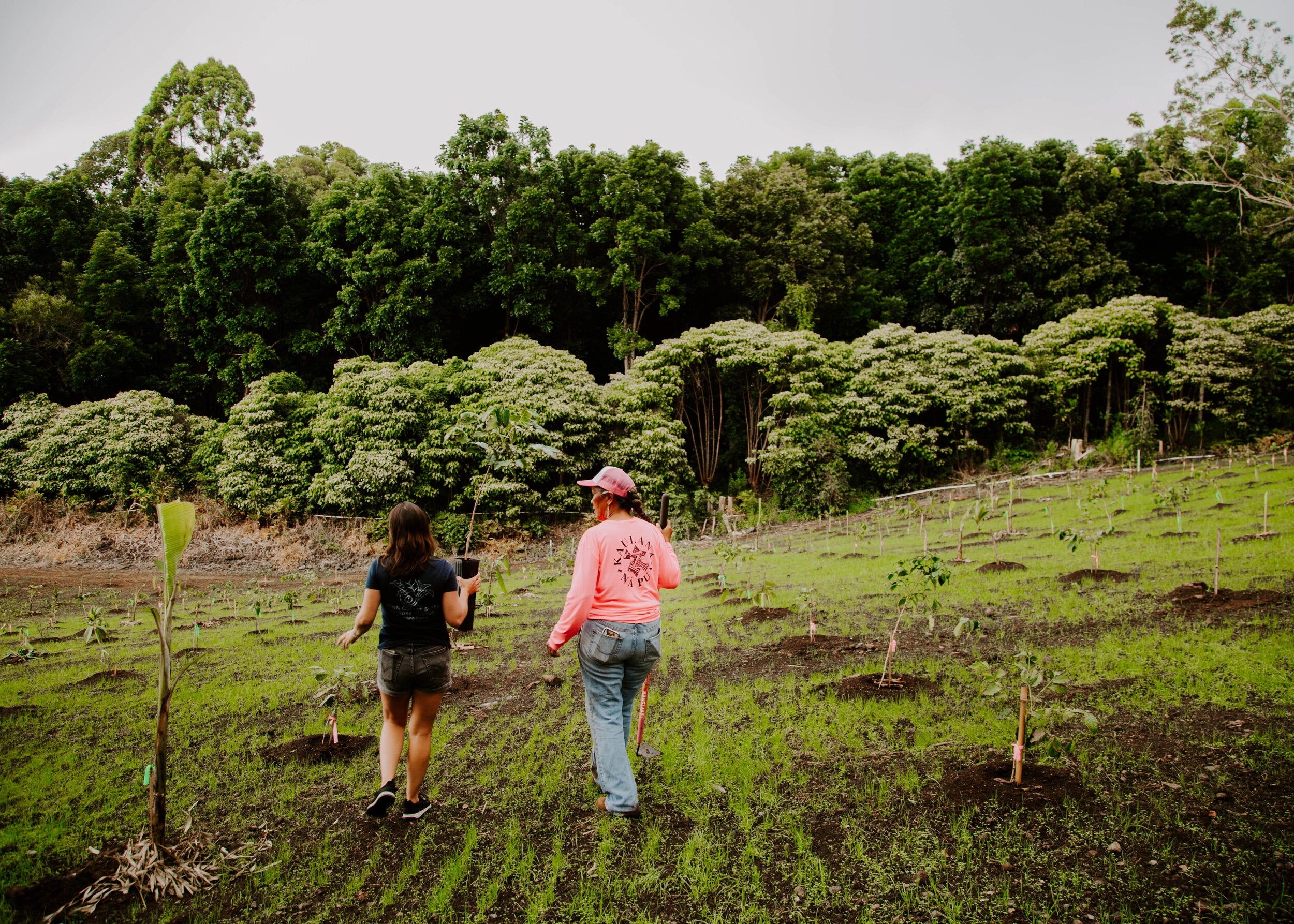 farm planting photos_2020-17.jpg