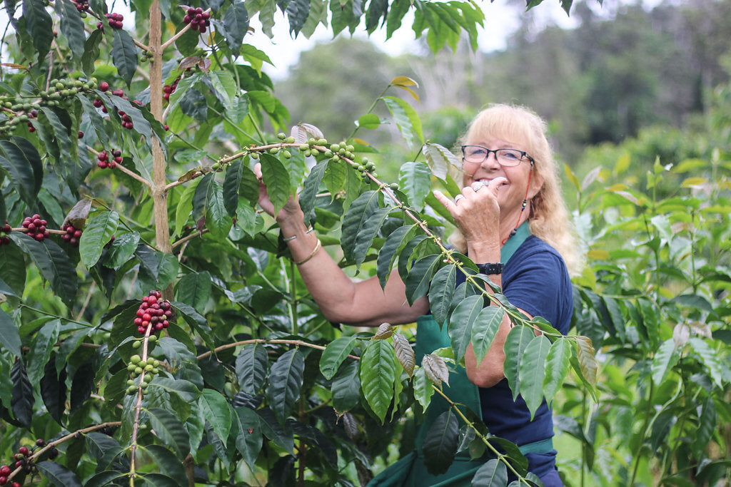 Kelly picking coffee at our 2019 First Harvest event on the farm. PHOTO: Chance Ortiz