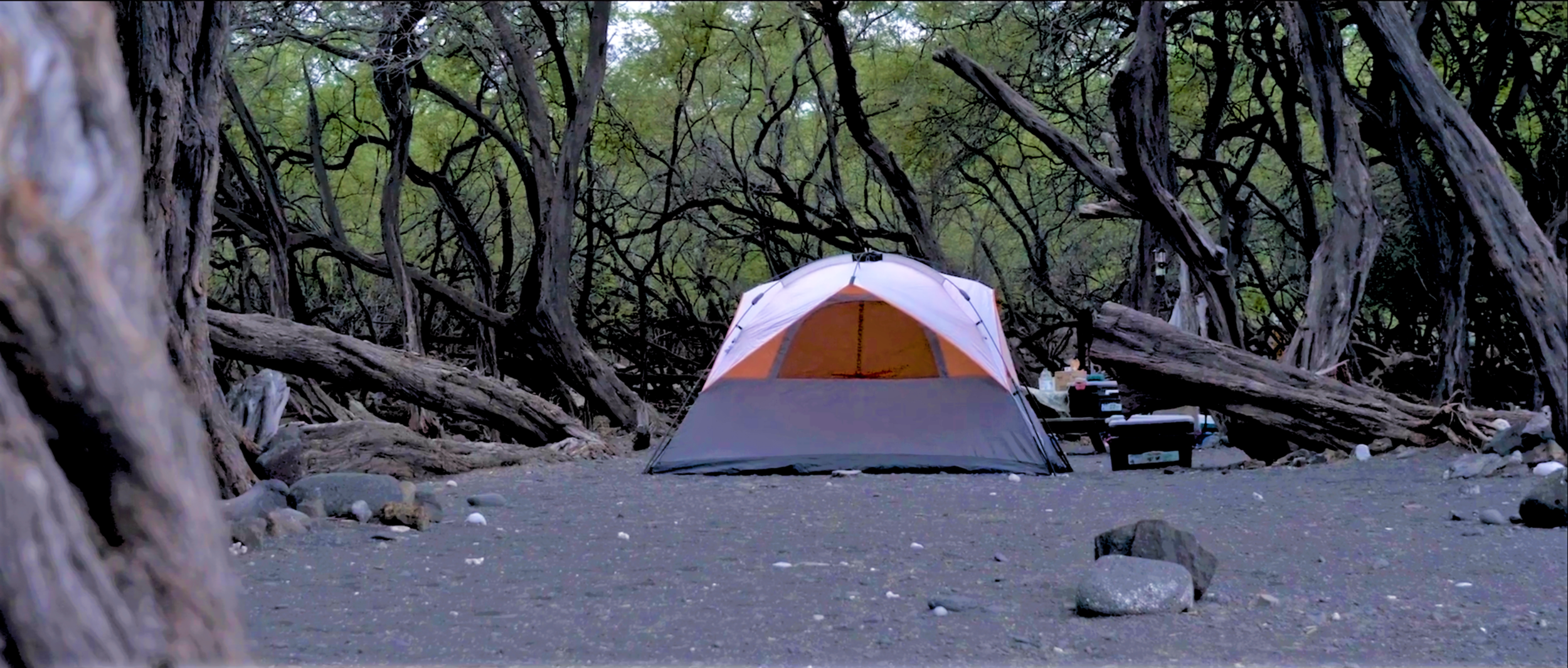 Hui's Hoa ʻĀina Rangers are on the ground every day to check-in campers, maintain and monitor the area, and educate visitors. PHOTO: Hui Aloha Kīholo