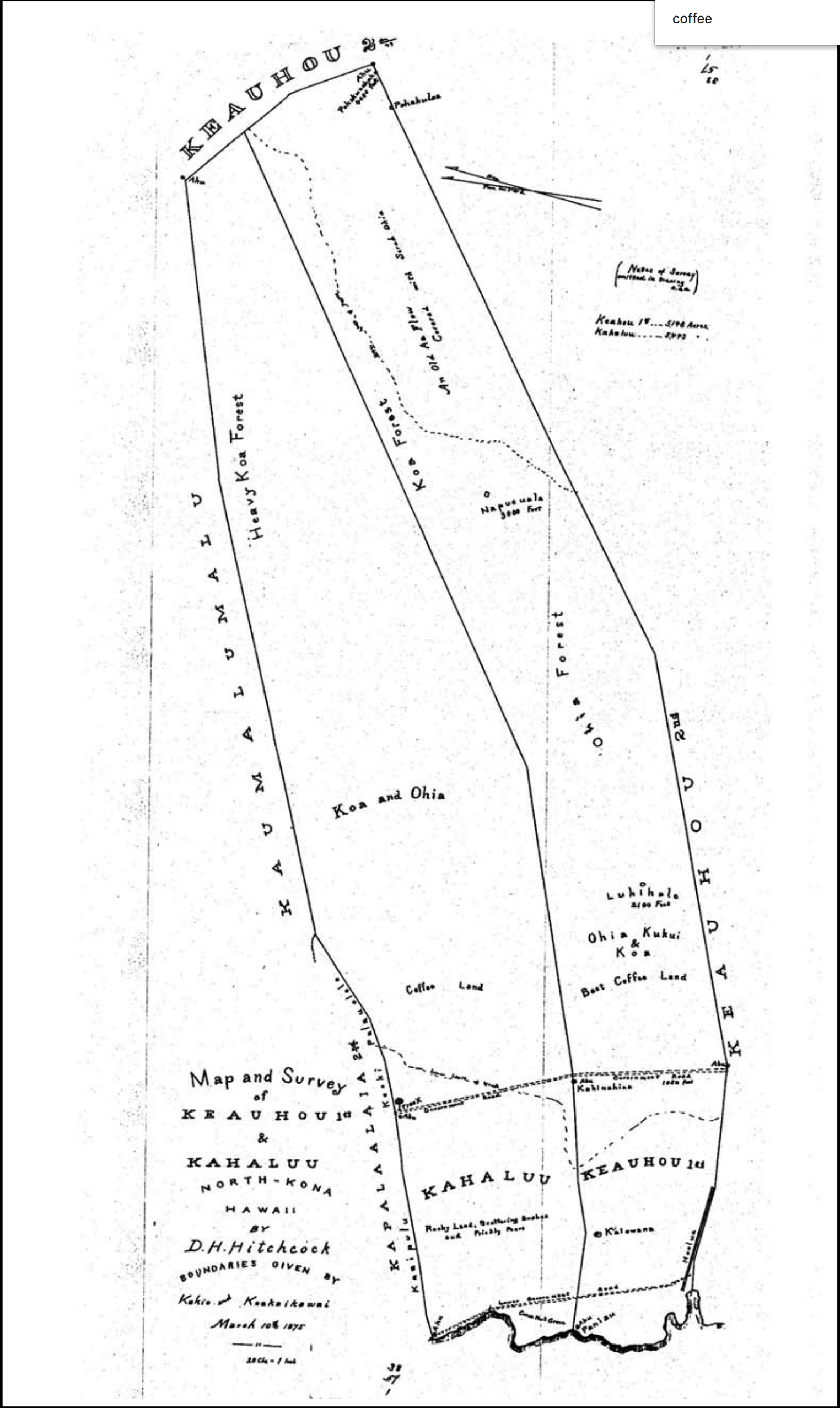 Map and Survey of Keauhou 1st &amp; Kahaluu. North Kona, Hawaii. D.H. Hitchcock (1875) Boundaries according to Witness Testimonies before the Boundary Commission Bishop Estate Map No 38