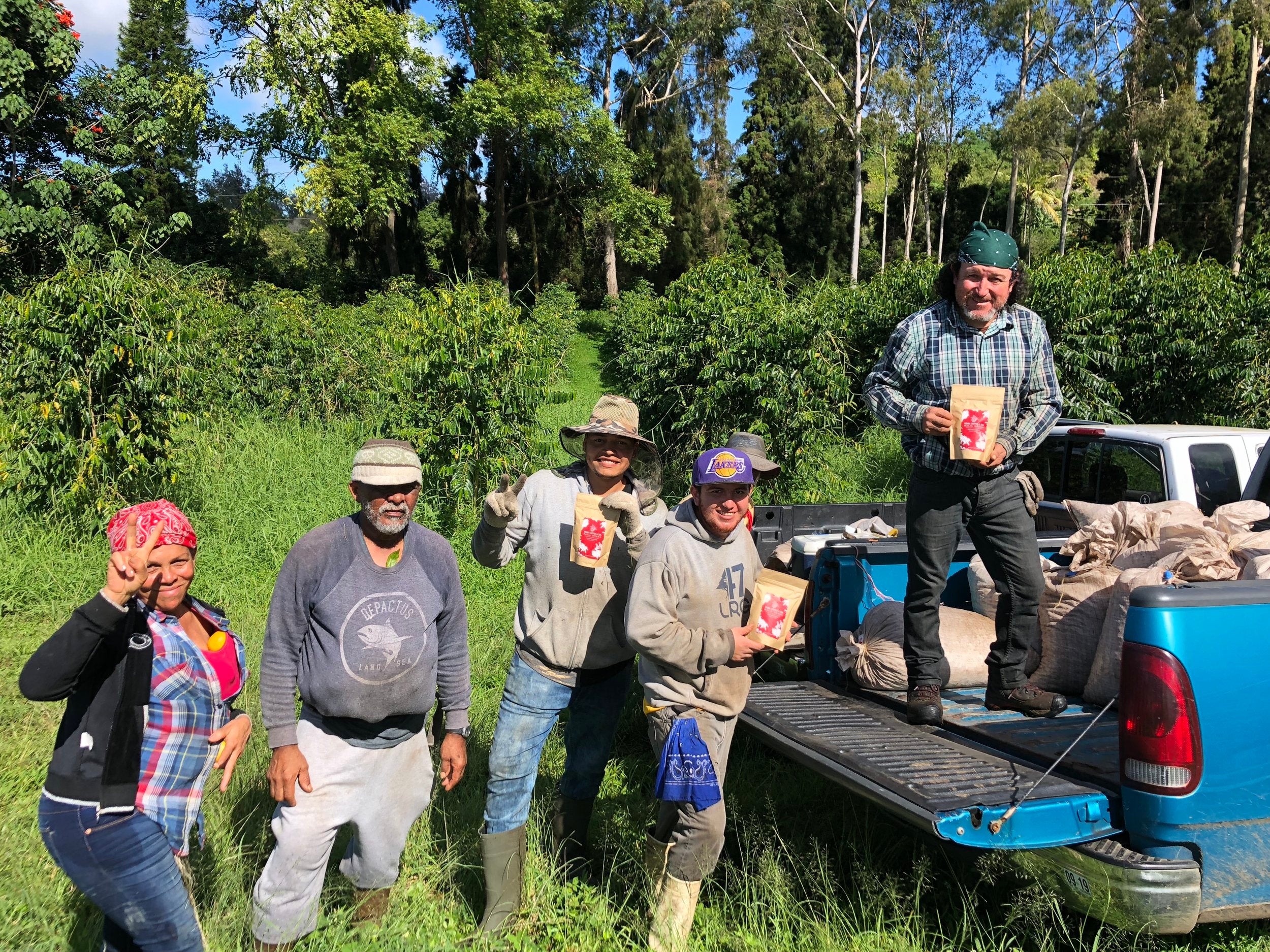 Our coffee picking crew on a harvest day at the Malia Ohana farm. PHOTO: Malia Bolton Hind