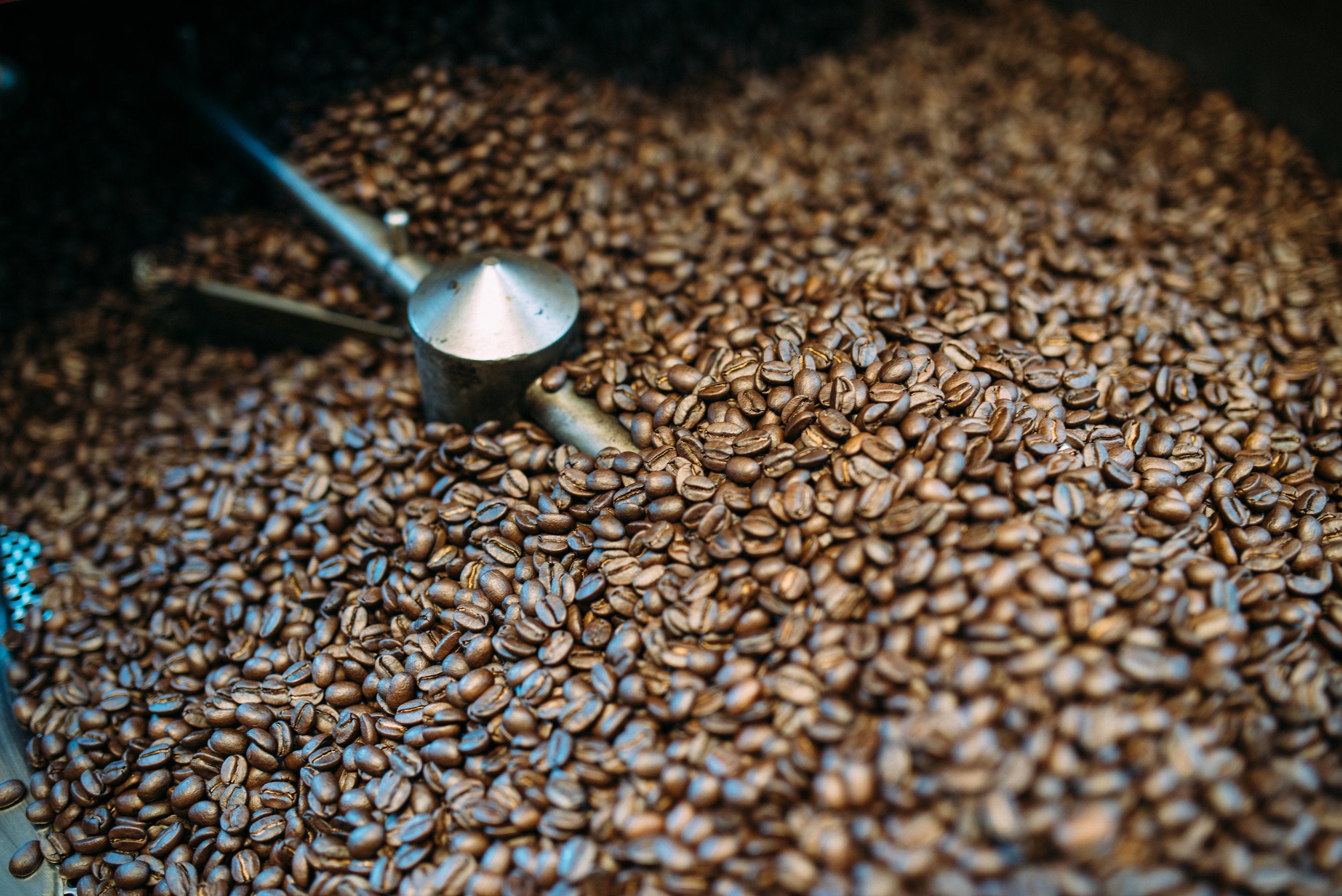 Kona Coffee &amp; Tea's roaster PHOTO: Blake Wisz