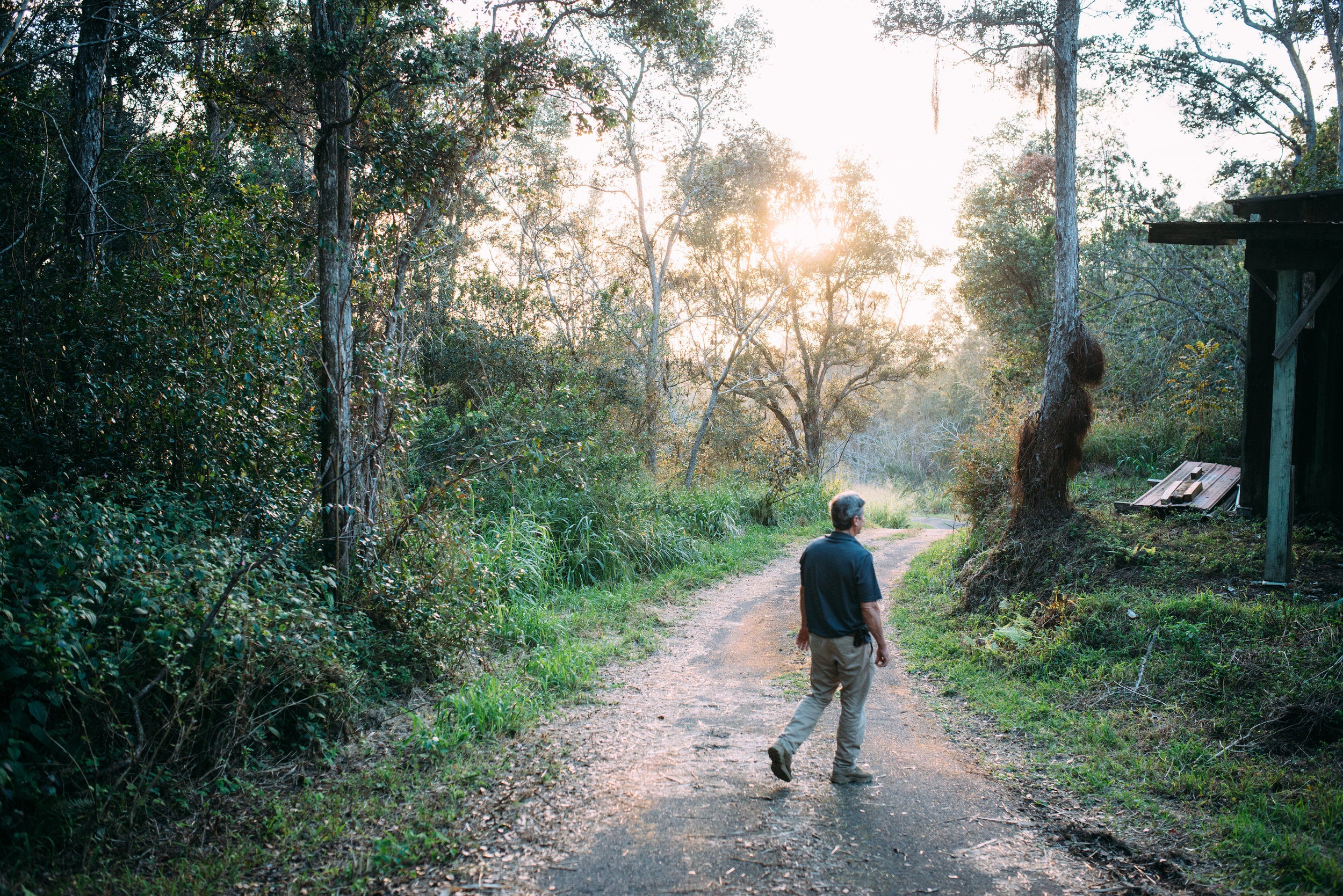 Dan on the farm in Holualoa. PHOTO: Blake Wisz