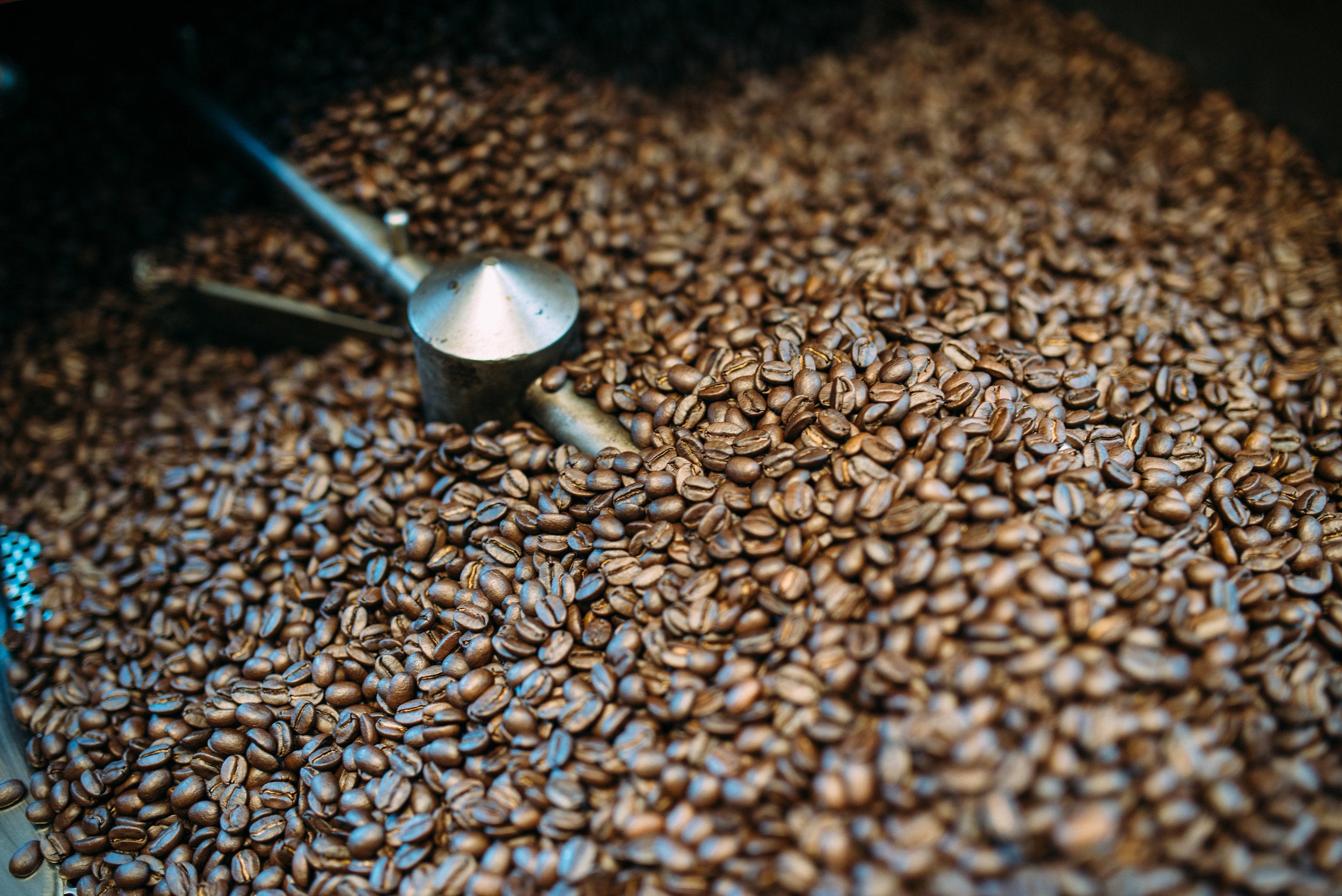 Coffee beans being roasted. PHOTO: Blake Wisz