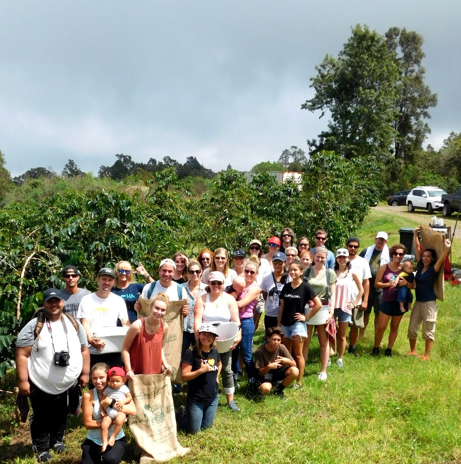 Our awesome group of pickers. PHOTO: Cynthia Crabtree