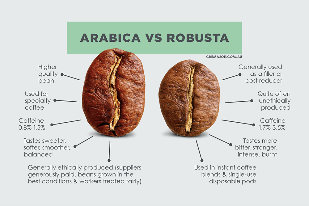 Arabica Vs Robusta: Why some coffee pods taste stronger than others, & why quality matters