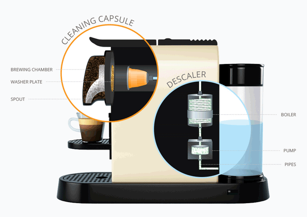 købe Hav genopfyldning Bacteria, yeast and mould in Nespresso coffee machines | What to do? –  Crema Joe