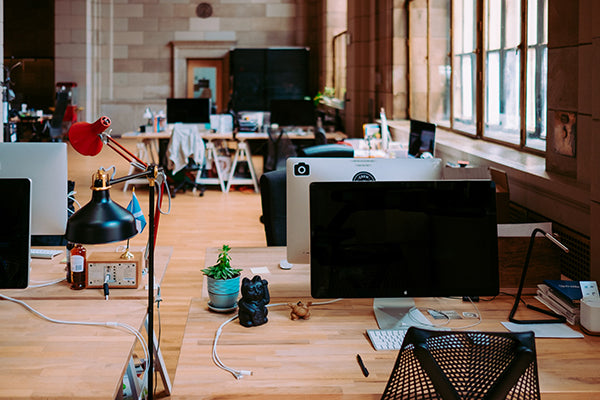 Tips for a "green" office: How to make your workplace more sustainable