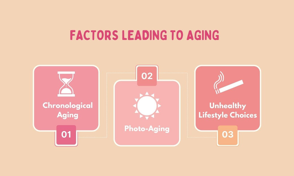 factors_leading_to_aging
