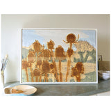 Country Collection - Rother Teasels