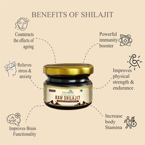 shilajit benefits for Health