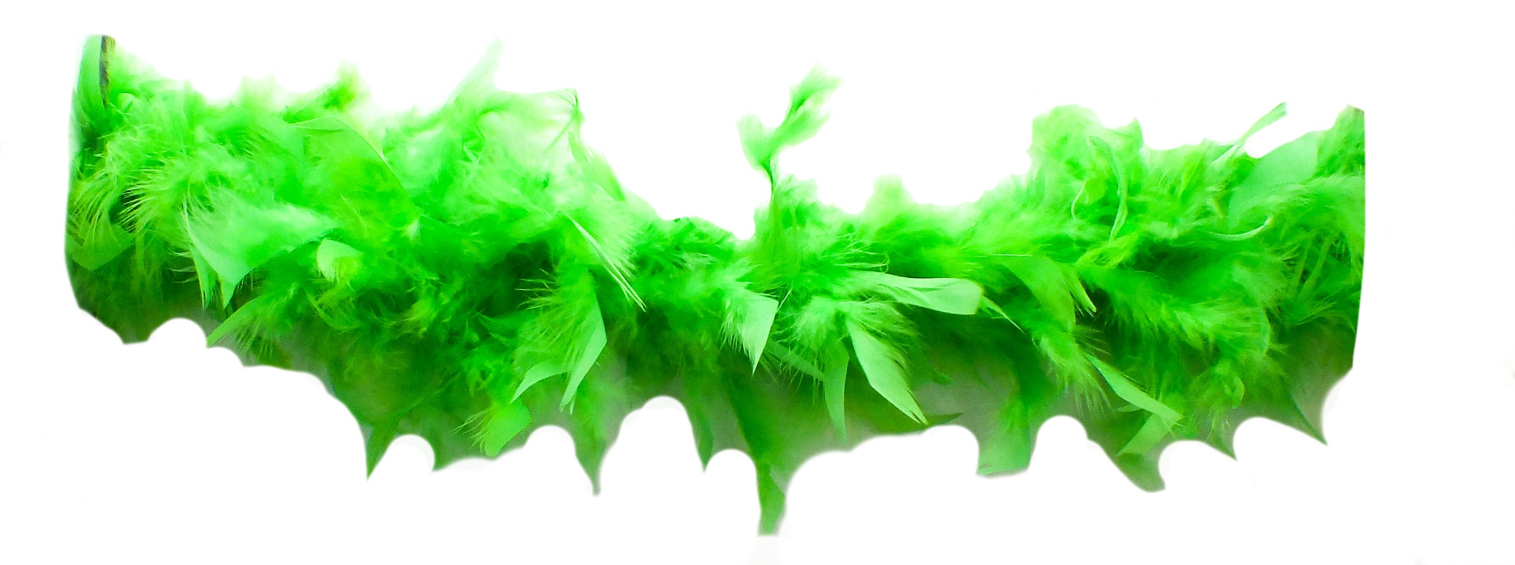 6 Green Feathers - St Patrick's Day