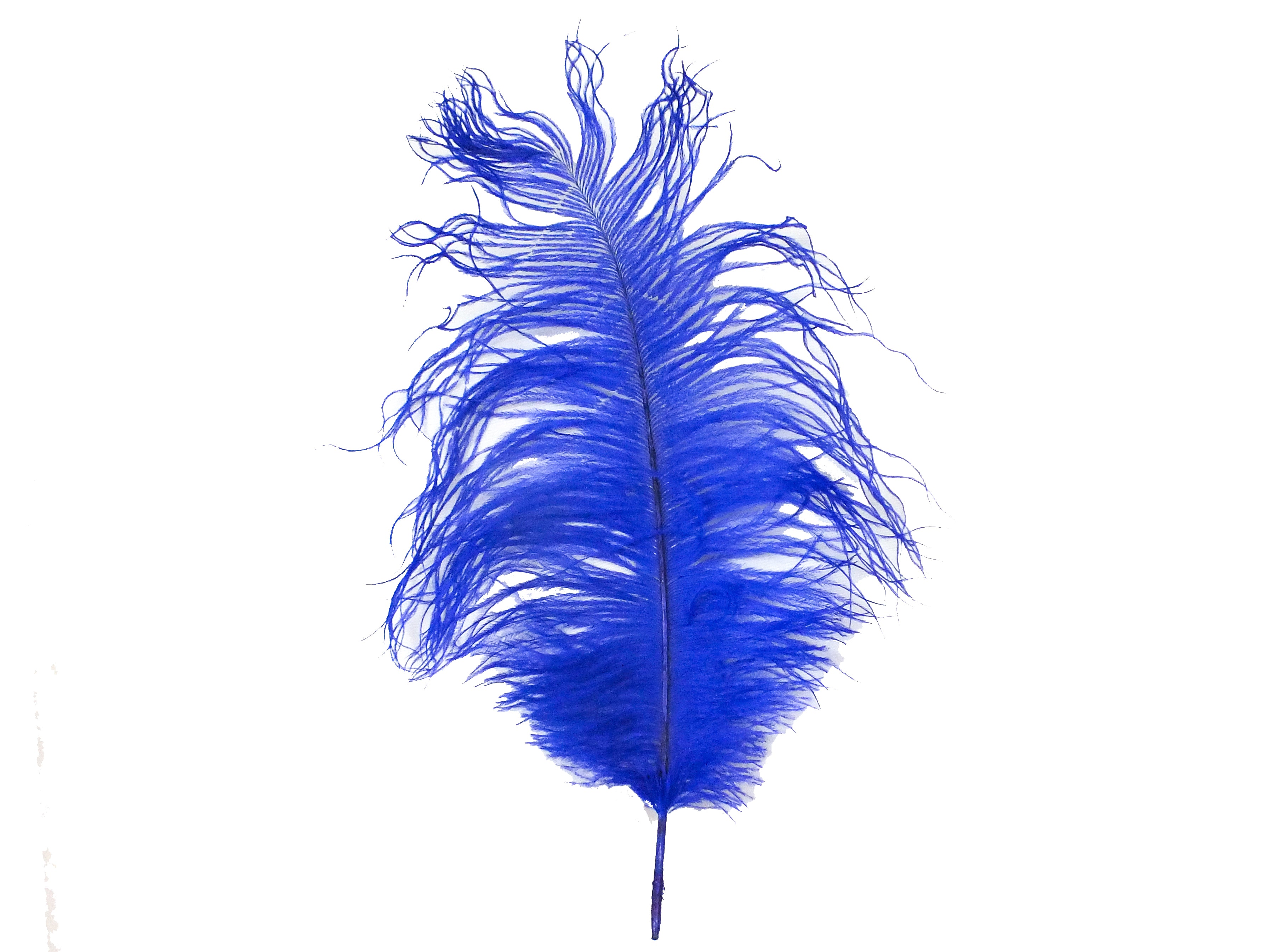 6 Blue Feathers - Patriotic