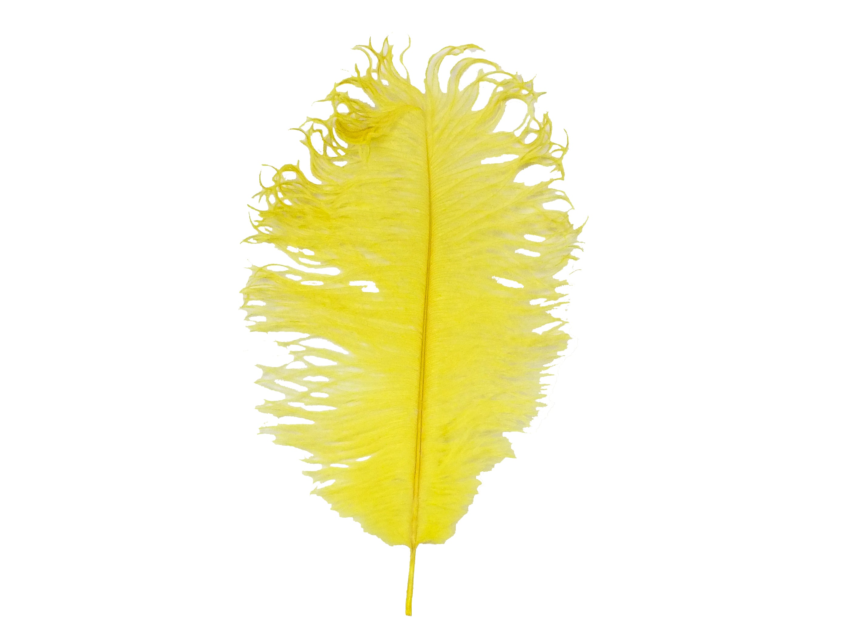 Yellow Feathers – Yes Please PaperCrafts