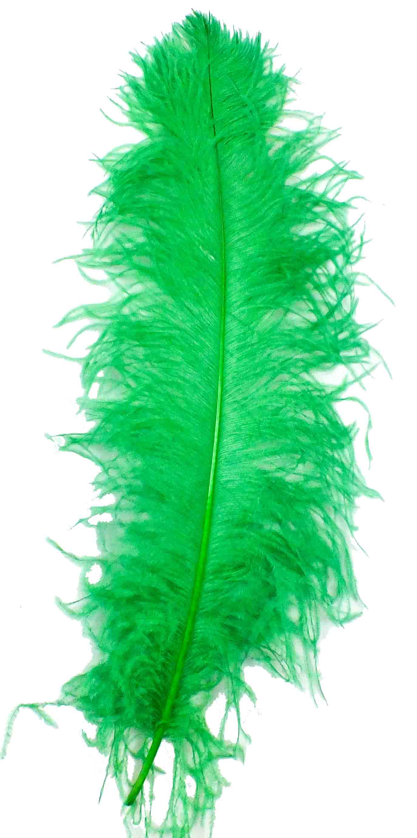 6 Green Feathers - St Patrick's Day