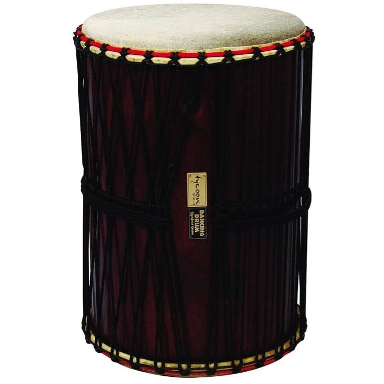 Professional 10 African Djembe Main Bongo Tambour Percussion