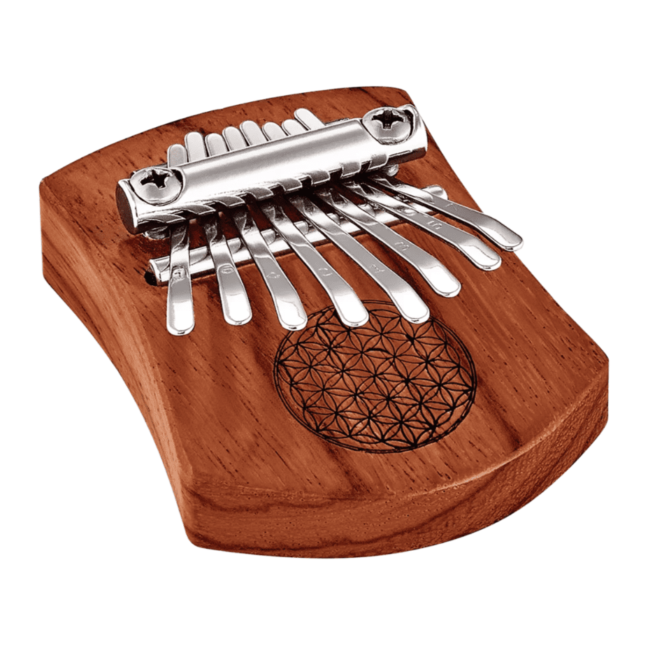 Naad Temple Musical Tasha Bhapang Brass Bugle Kalimba Small Instruments  Combo Set 2021