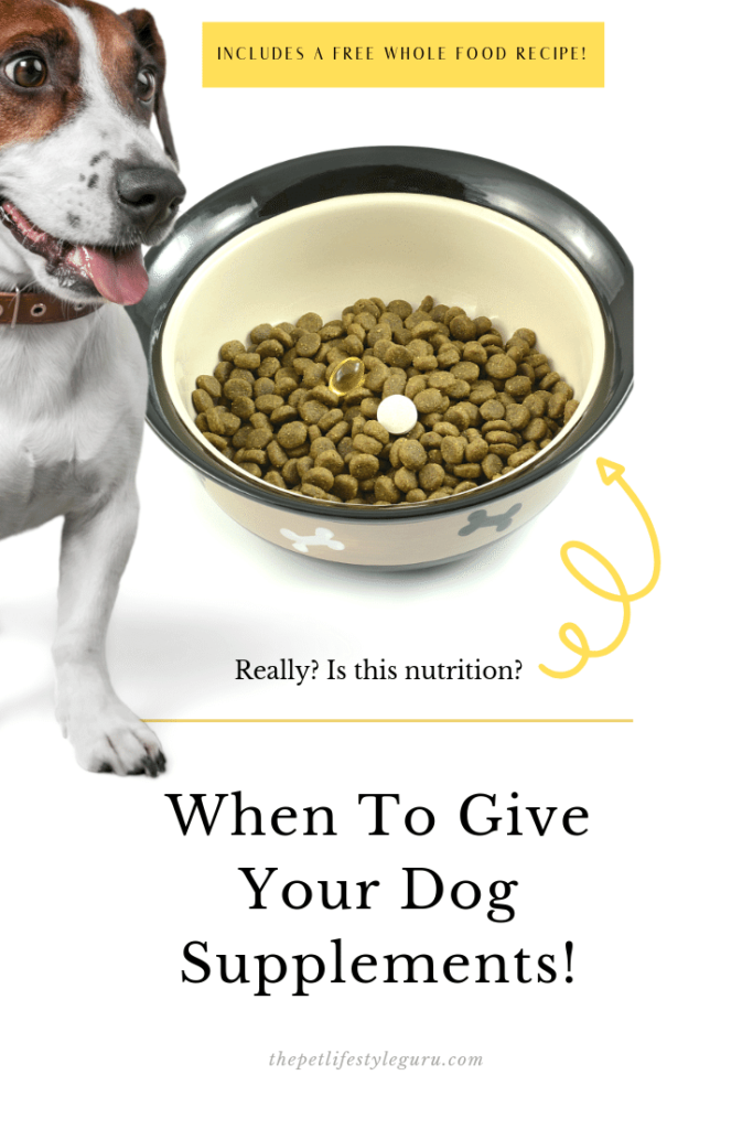 The 6 Best Times of Day to Administer Dog Supplements and Vitamins