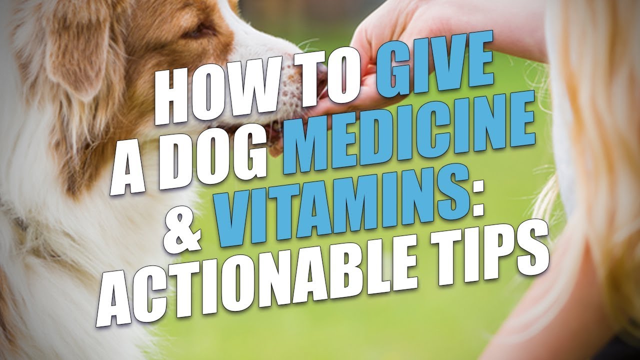 8 Ways to Make Giving Supplements and Vitamins to Your Dog Easier