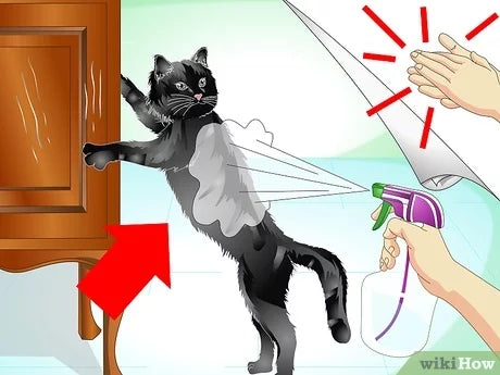 How to Train a Cat Not to Scratch the Furniture?