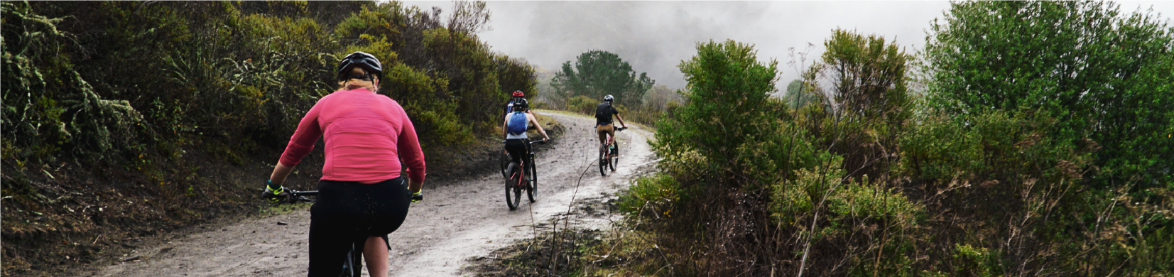 Photo of 4 friends biking along a trail in Tilden Regional Park.