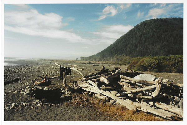 Driftwood pile with surf clothes hanging off of it to dry.