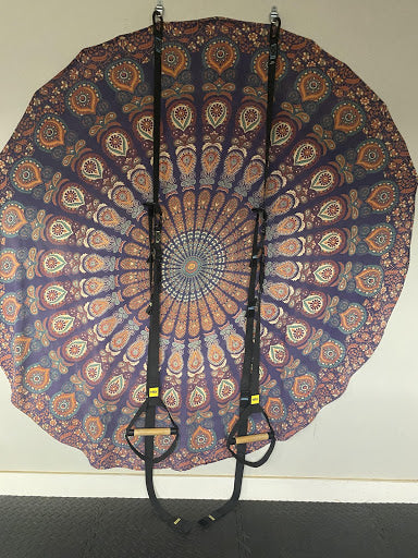 Jaimie's TRX facing her wall with a large rug.