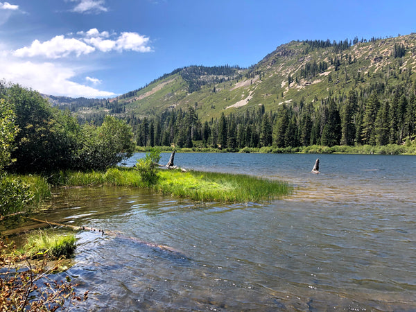 Outdoor landscape scene of a lake and mountains.