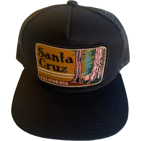 Santa Cruz Trucker