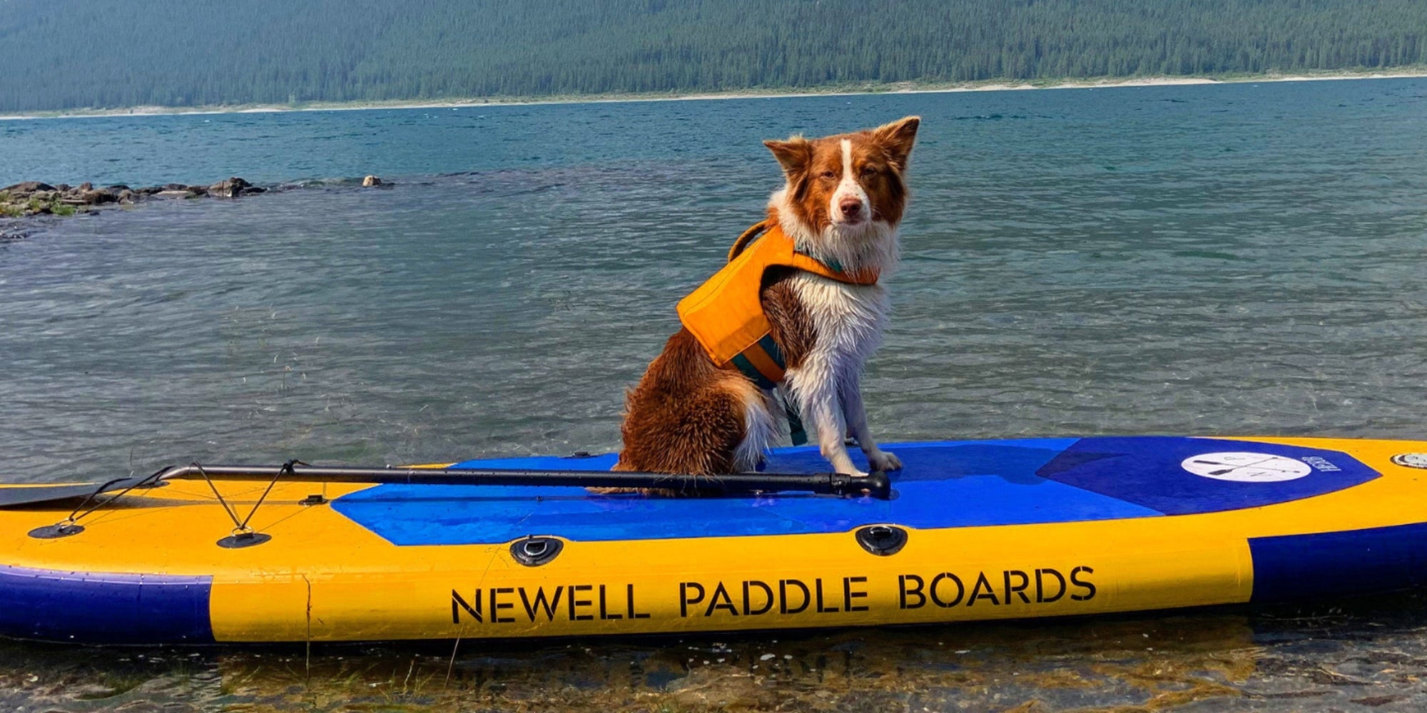 Newell Paddleboards