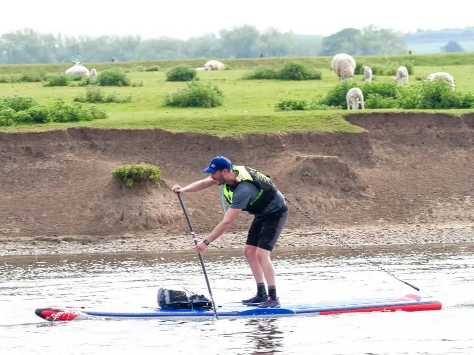 Mid race paddling with sheep on the bank in Race to the Castle SUP Event.