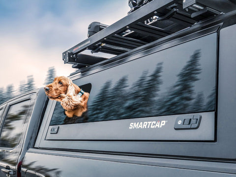 Rsi Smartcap EVO sport includes The doggy window