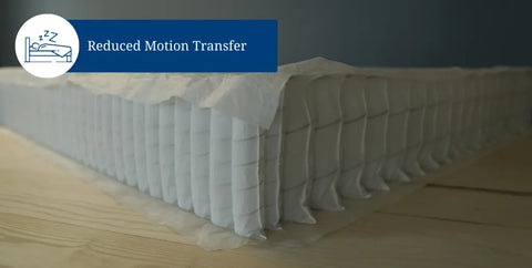 Highlighting the pocket coil unit construction for motion transfer