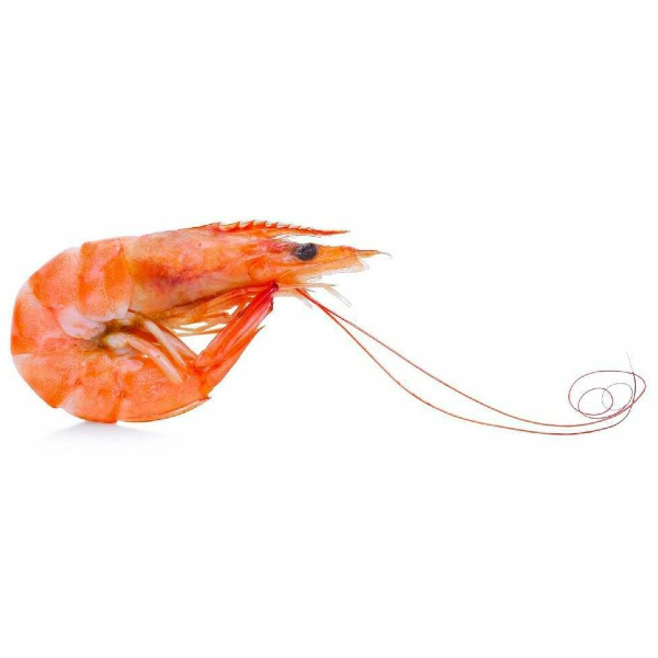 https://cdn.shopify.com/s/files/1/0751/9489/2598/articles/prawn-ix_600x600_2x_db3fd844-ee4c-43b1-bc81-e466470af5a8.png?v=1686759113