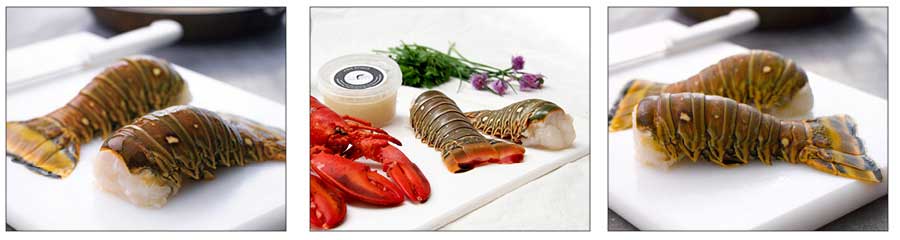 Lobster Guide | Species - Preparations - Cuisine | – The Fish Society
