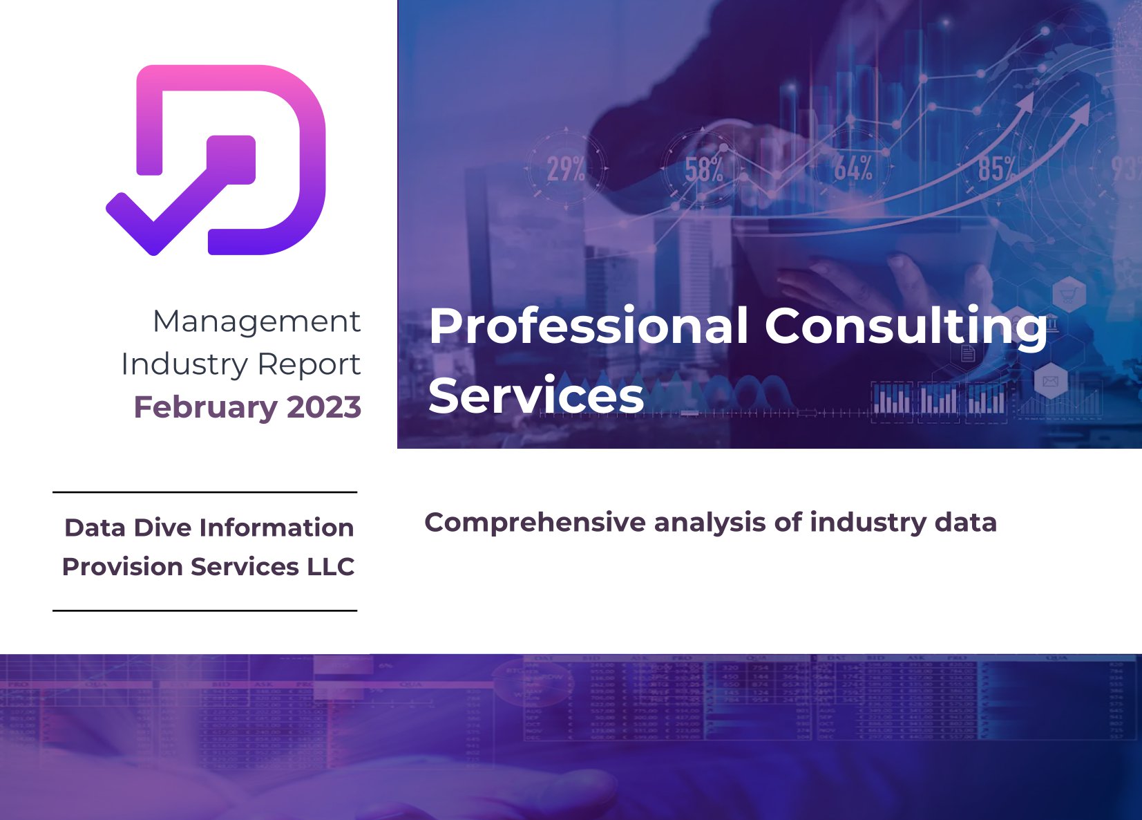 Professional Consulting Services
